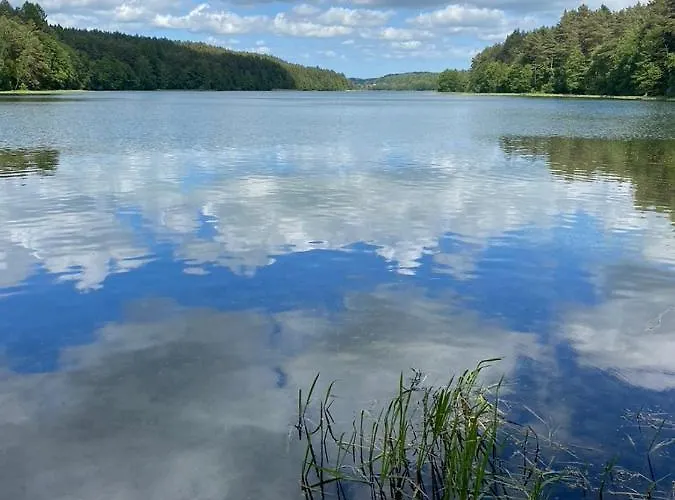 Semesterbostad Dom Na Brzozowej Golubie