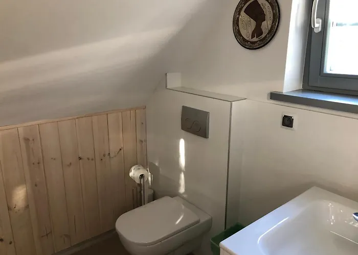 Dom Na Brzozowej Semesterbostad Golubie